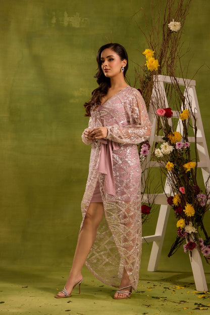 SEQUIN EMBELLISHED SHEER MESH DRESS